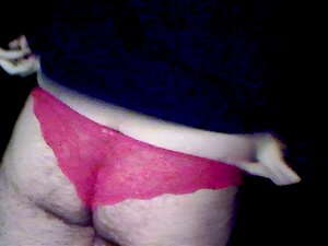 Oso en bragas de encaje