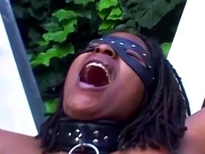 Rancher blanco lleva a una criada afro al interior para una salvaje